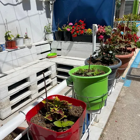 Apartamento Dauti Sarandë